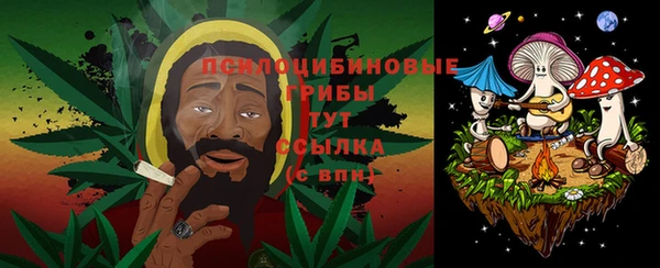 apvp Алексеевка