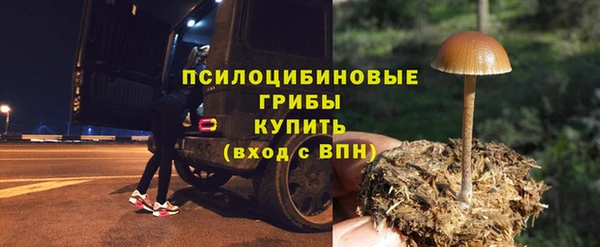 прущая мука Алзамай